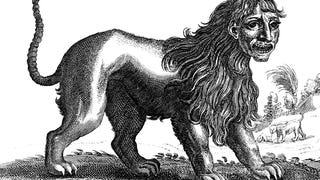 A 17th century engraving of a Manticore with four legs, a human face and a forked tail